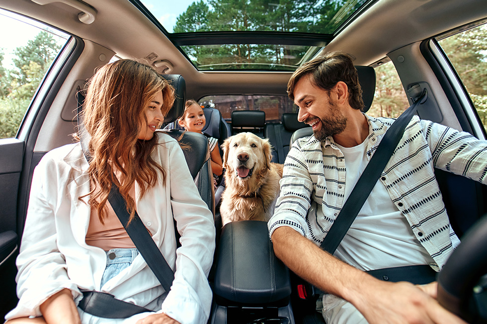 Seguros para coches